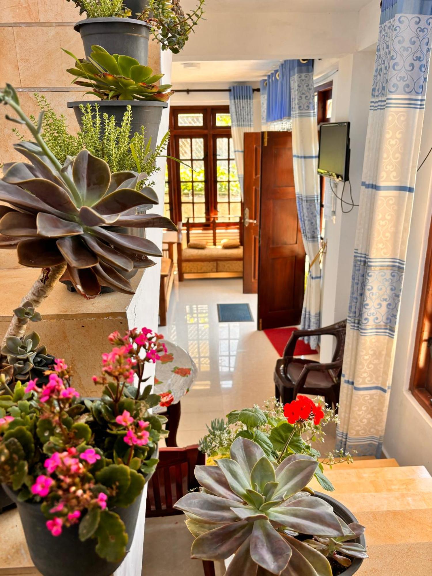 Hotel Shiny View Nuwara Eliya Exterior foto