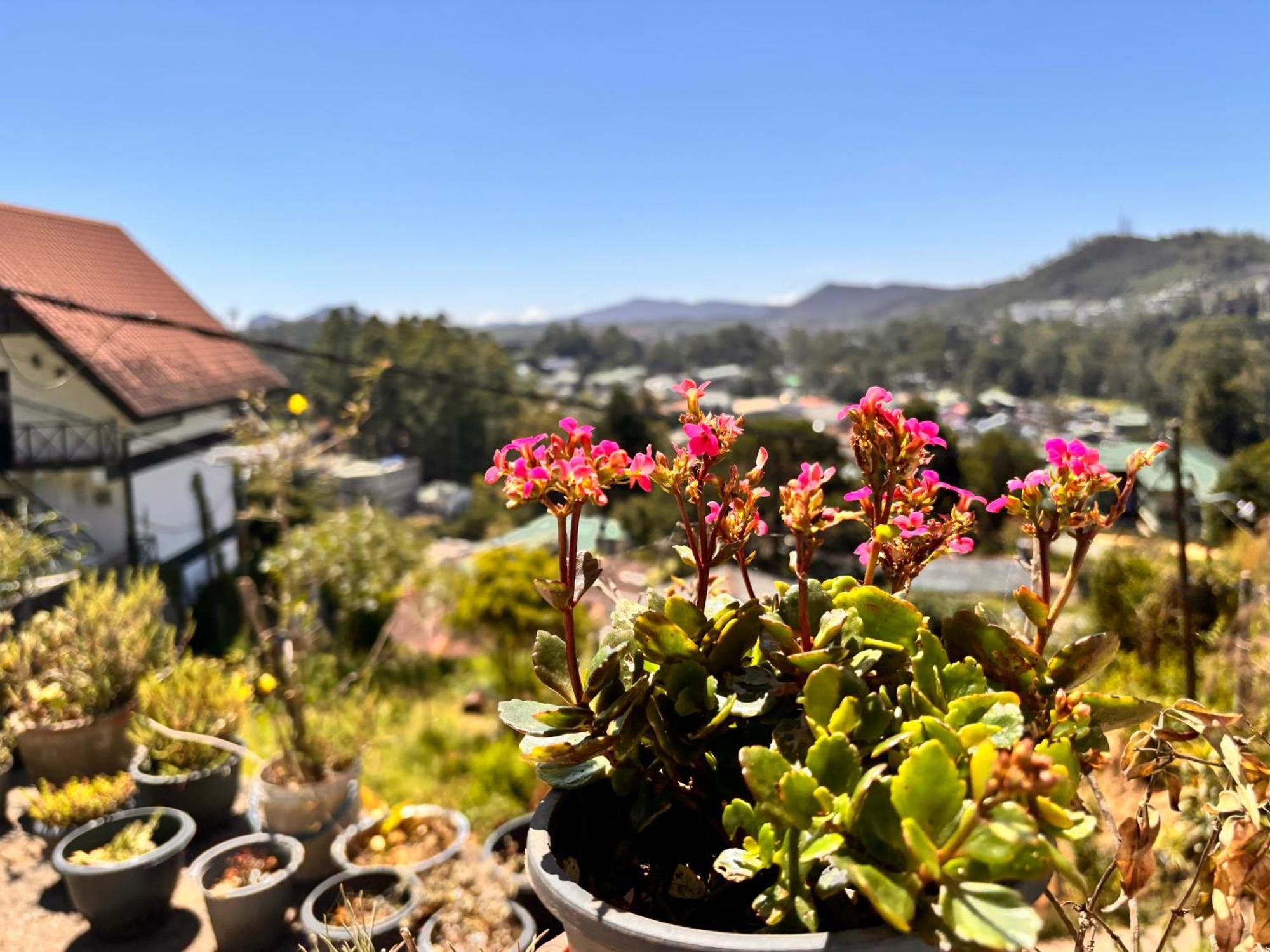 Hotel Shiny View Nuwara Eliya Exterior foto